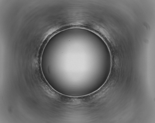 X0000112881308200909041633