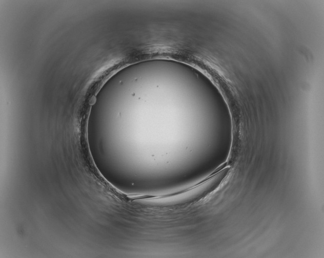 X0000112881309200909041633