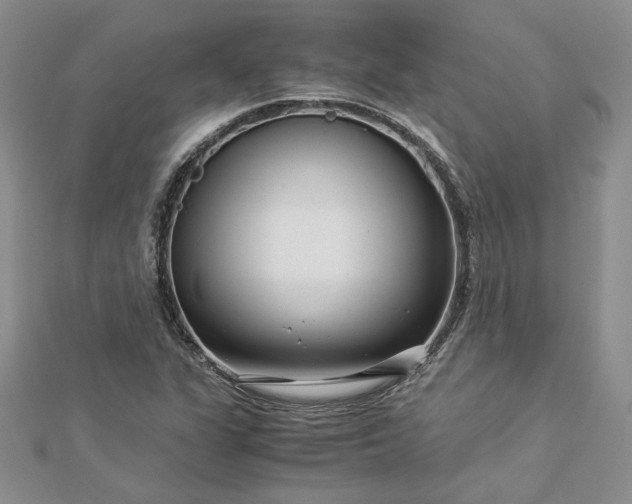 X0000112881311200909041633