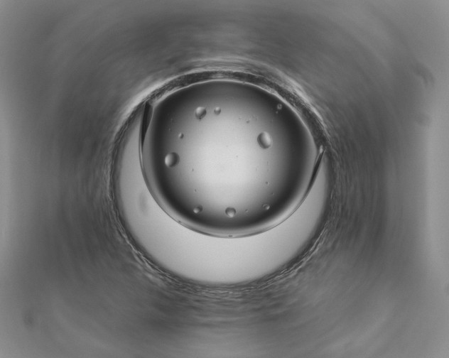 X0000112881312200909041633