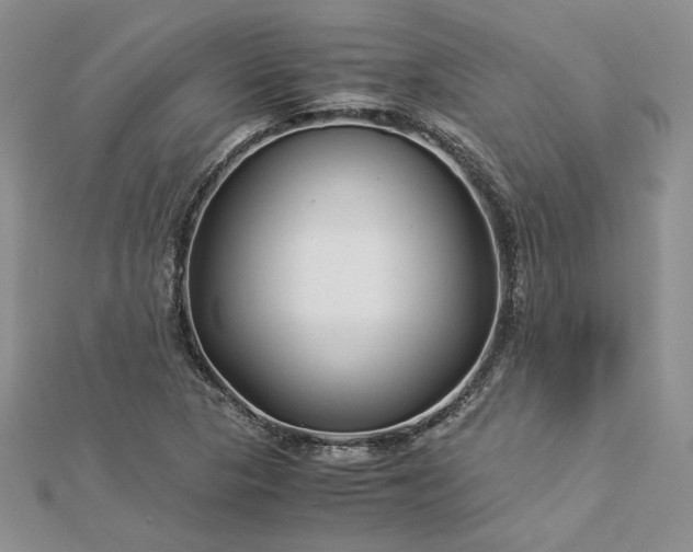 X0000112881313200909041633