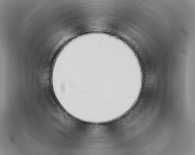 X0000112881314200909041633