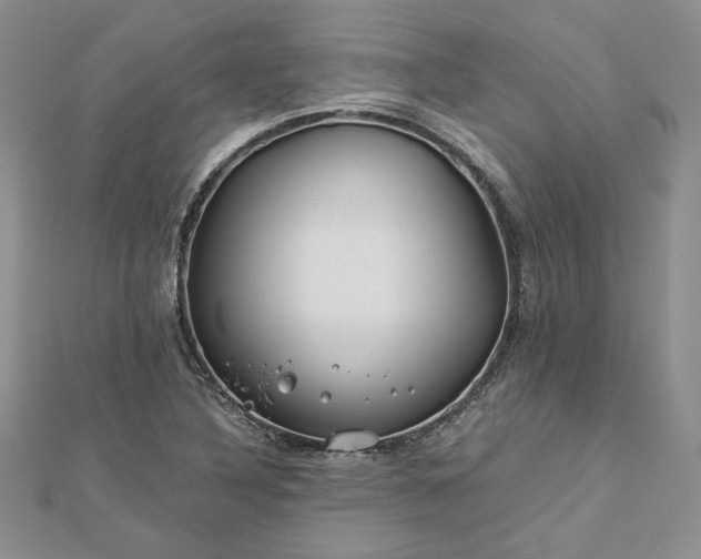 X0000112881316200909041633