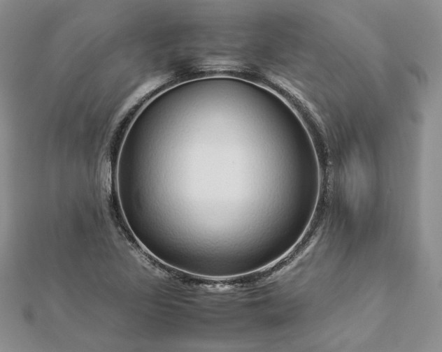 X0000112881317200909041633