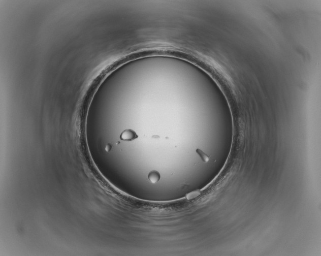 X0000112881318200909041633