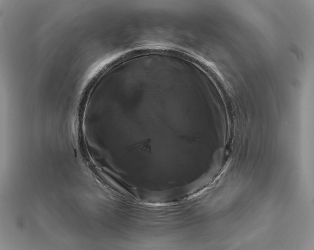 X0000112881319200909041633