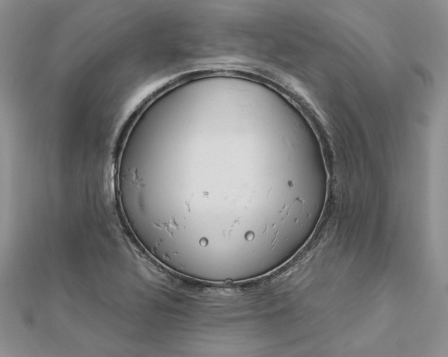 X0000112881320200909041633