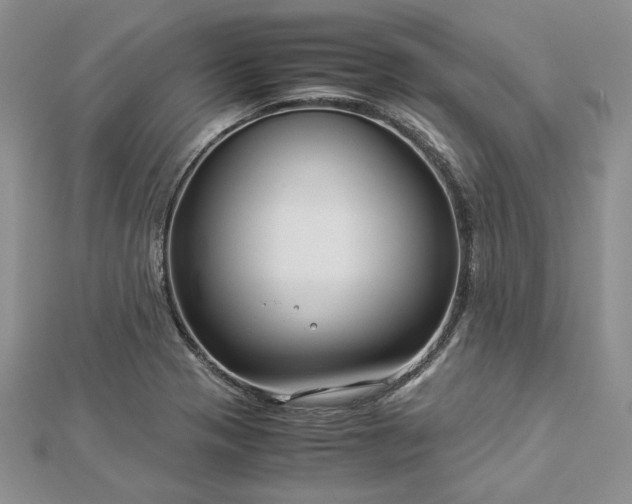 X0000112881321200909041633