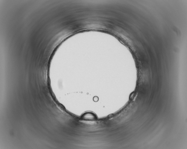 X0000112881322200909041633