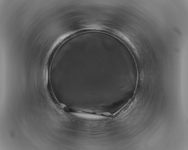 X0000112881323200909041633