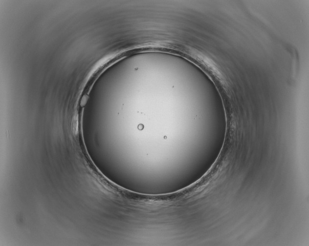 X0000112881324200909041633