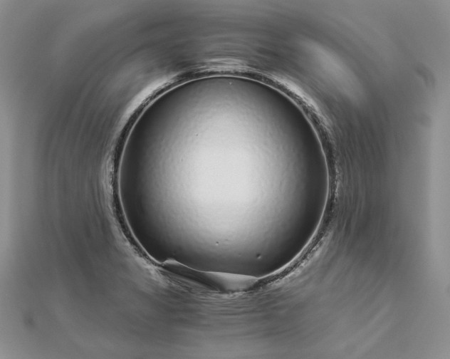 X0000112881325200909041633