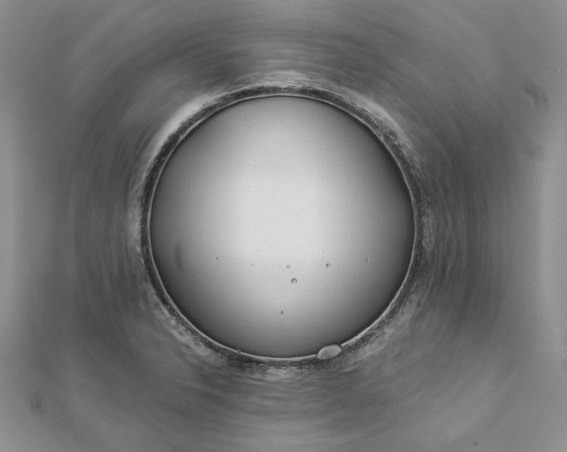 X0000112881326200909041633