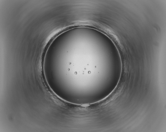 X0000112881328200909041633