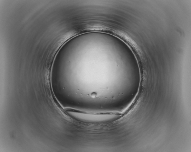 X0000112881329200909041633