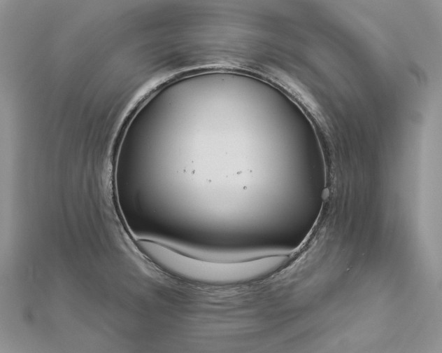 X0000112881332200909041633