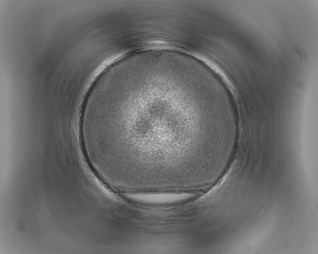 X0000112881333200909041633