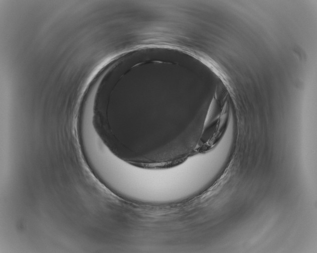 X0000112881334200909041633