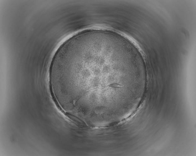 X0000112881335200909041633