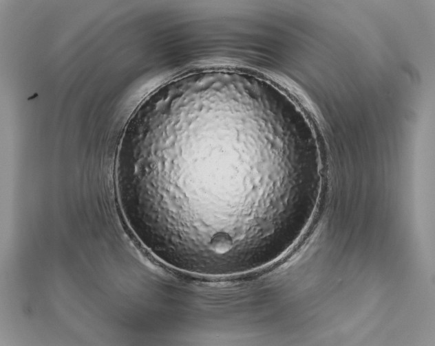 X0000112881337200909041633