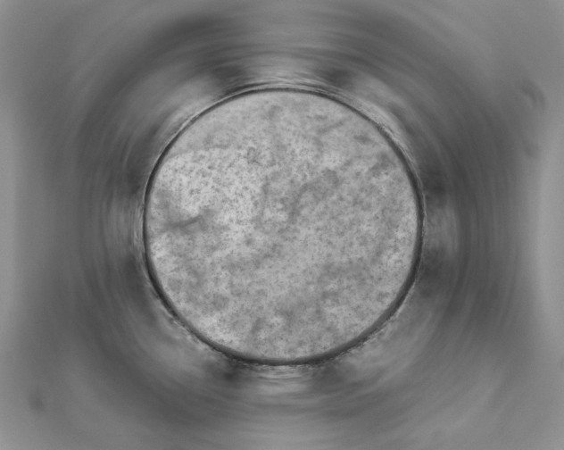 X0000112881338200909041633