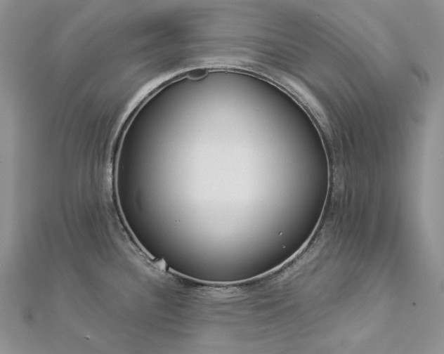 X0000112881340200909041634