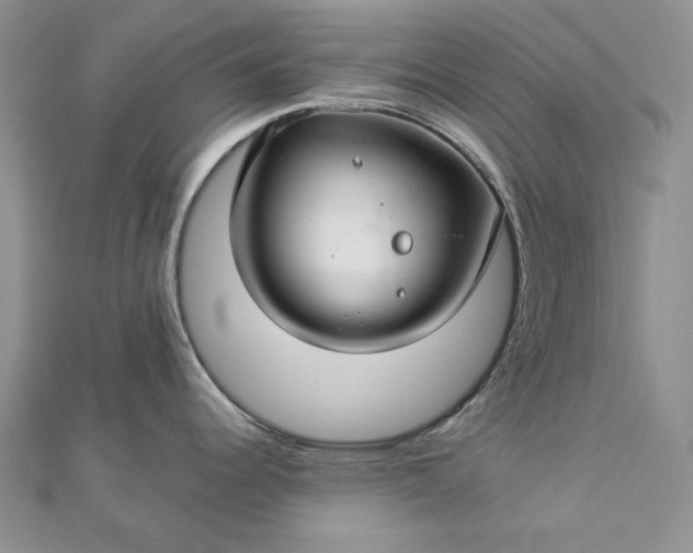 X0000112881344200909041634