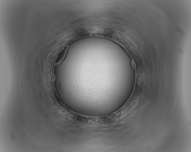 X0000112881345200909041633