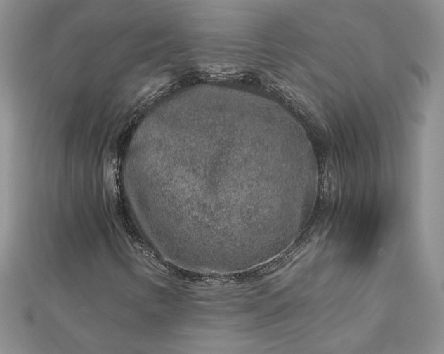 X0000112881346200909041633