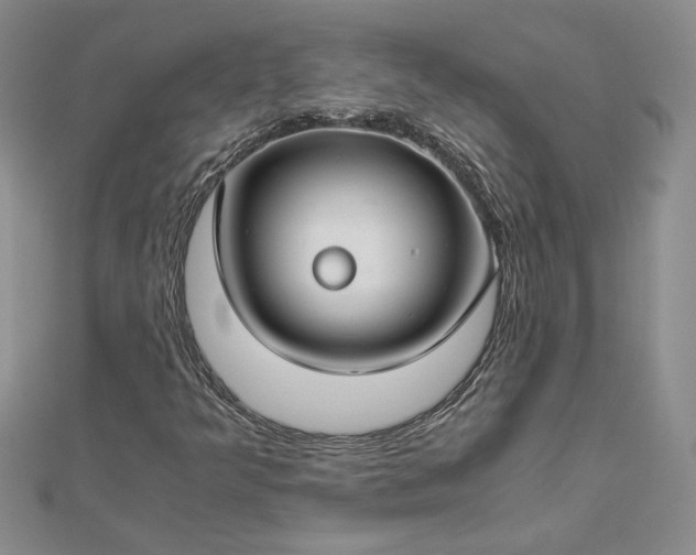 X0000112881349200909041633