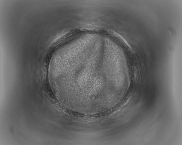 X0000112881350200909041633