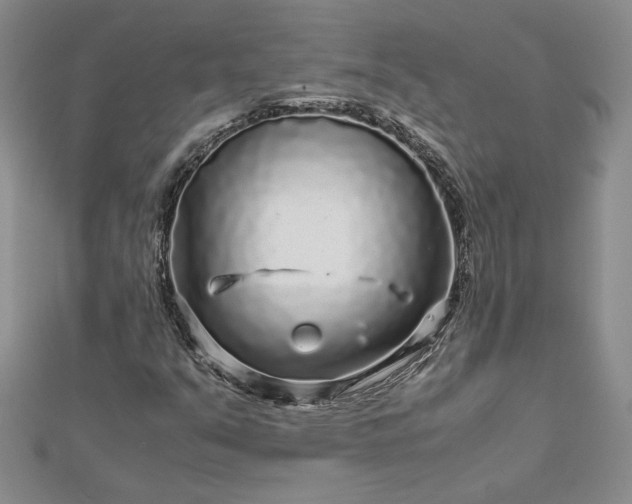 X0000112881351200909041633