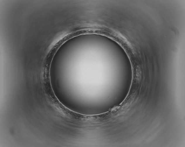 X0000112881352200909041633