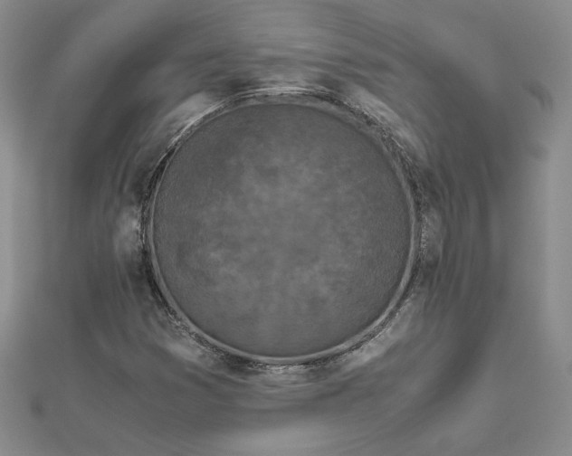 X0000112881353200909041633