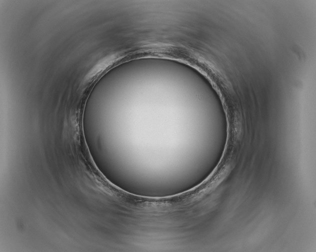 X0000112881354200909041633