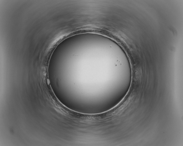 X0000112881355200909041633