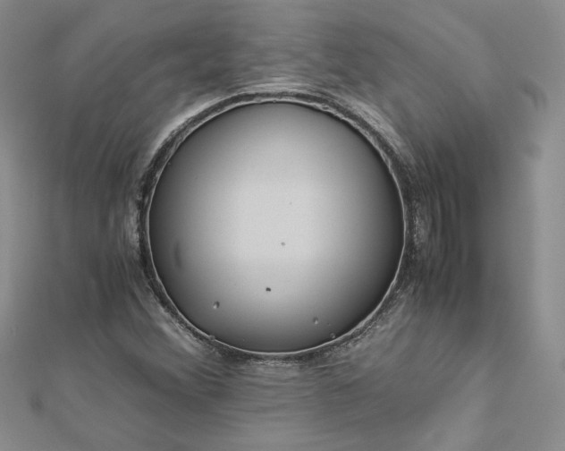 X0000112881356200909041633