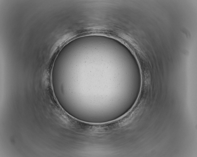 X0000112881357200909041633