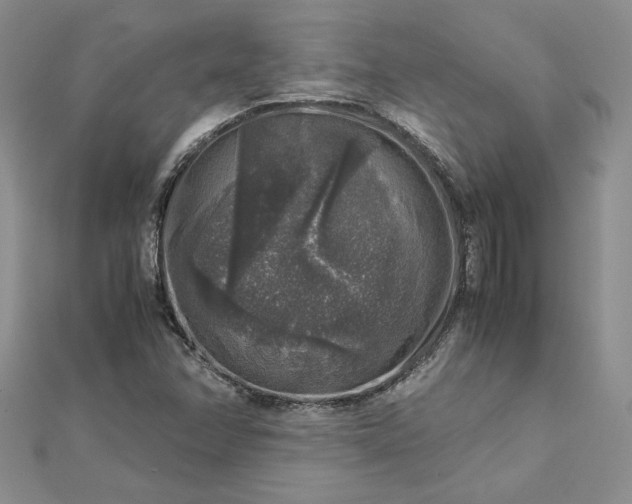 X0000112881358200909041633