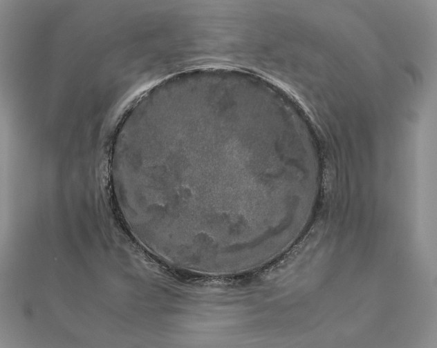 X0000112881359200909041633