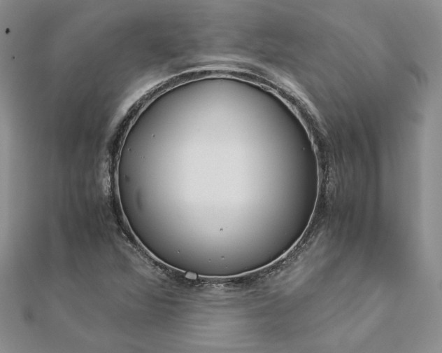 X0000112881360200909041633