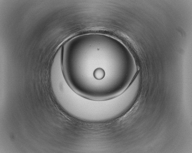 X0000112881361200909041633