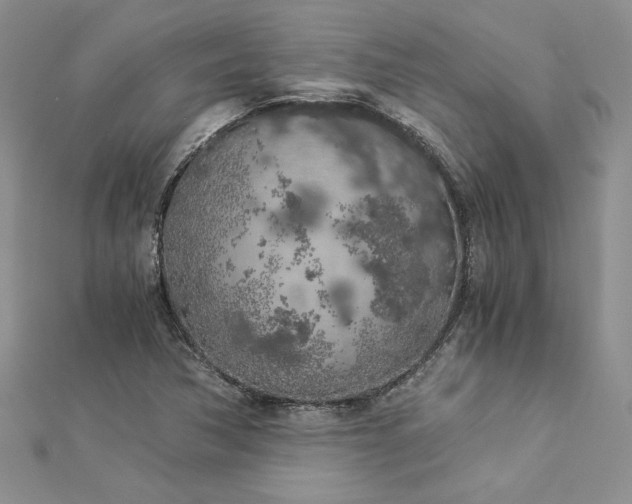 X0000112881362200909041633