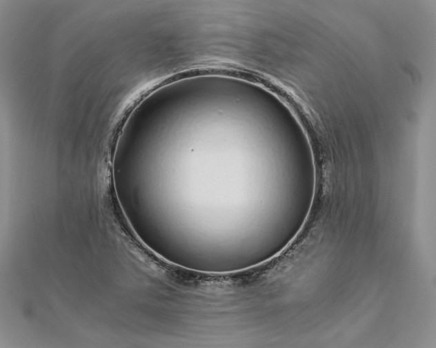 X0000112881363200909041633