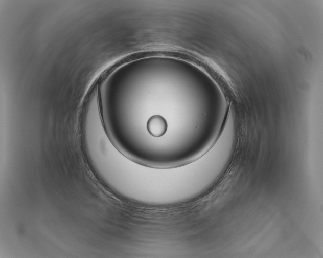 X0000112881364200909041633