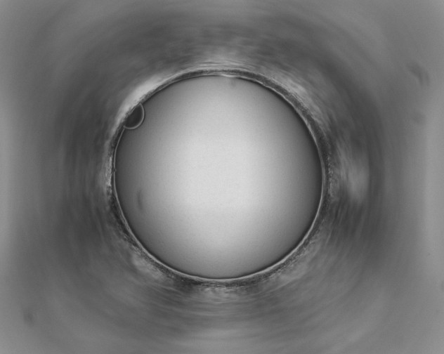 X0000112881366200909041633