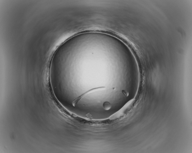 X0000112881367200909041633