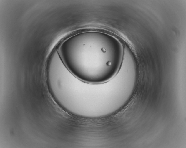 X0000112881368200909041633