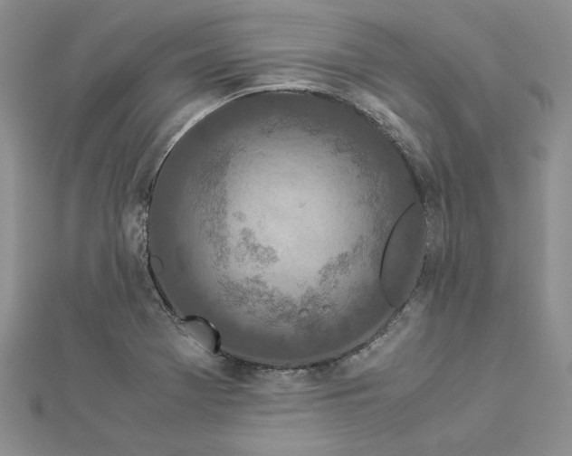 X0000112881369200909041633