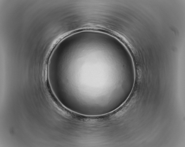 X0000112881371200909041633